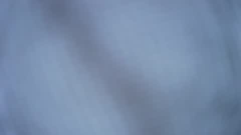 Snapshot of timgrower chatting on 7, 5, 2026 Tim Grower online show from 7, 5, 2026