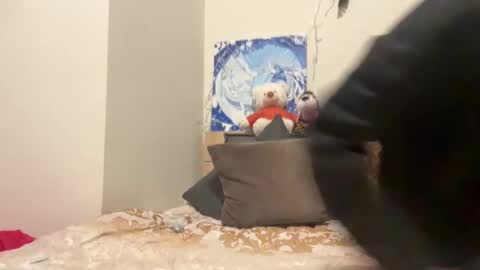 Wizard online show from 8, 12, 2024