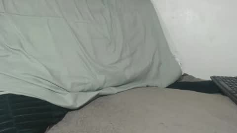 Tina online show from 14, 4, 2026