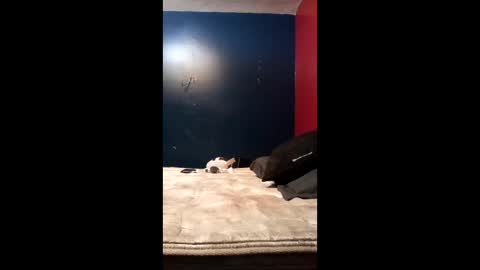 Snapshot of tinycock74478 chatting on 19, 3, 2026 tinycock74478 online show from 19, 3, 2026