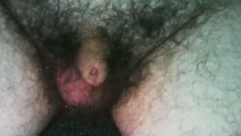 tinycocker online show from 19, 10, 2025