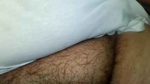 tinypecker6 online show from 11, 6, 2026
