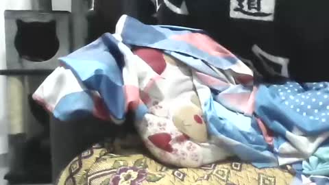 Ester online show from 22, 4, 2026