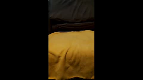 Snapshot of tj_the_man chatting on 26, 9, 2025 TJ online show from 26, 9, 2025