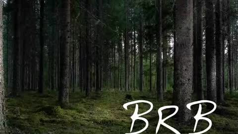 Tim online show from 2, 11, 2025