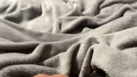 tmue online show from 27, 2, 2026