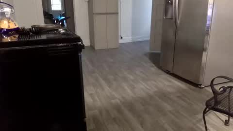 tnich28 online show from 14, 1, 2026