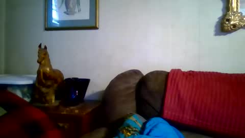 Vols online show from 7, 1, 2026