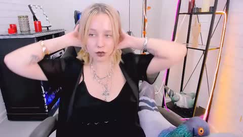 Tolli Moll online show from 6, 12, 2024