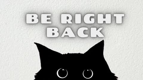 Tolli Moll online show from 28, 1, 2025