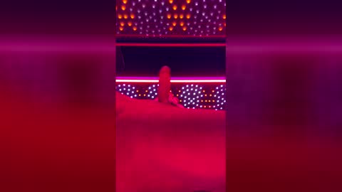 tomandnika online show from 11, 4, 2026