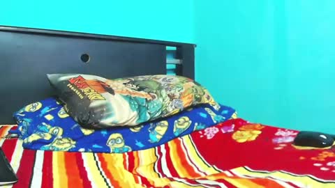 Andres. online show from 11, 2, 2025