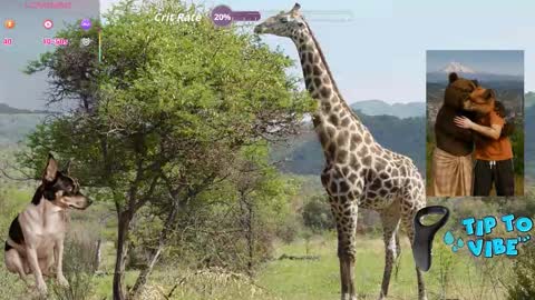 Tomaz62a online show from 30, 10, 2025