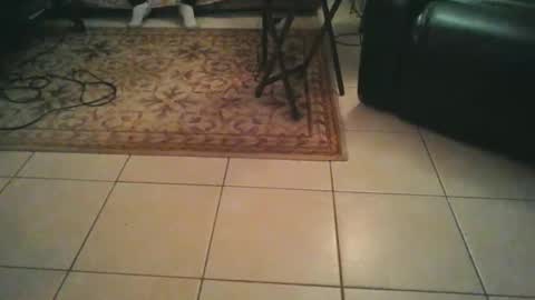 sirmuggsalot online show from 20, 3, 2026