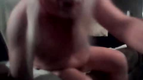 tommythayer2112 online show from 1, 12, 2025