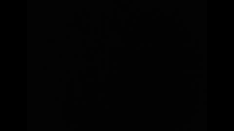 tony online show from 3, 3, 2026