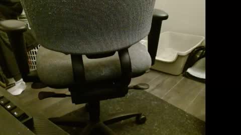 tooobvious online show from 11, 2, 2025