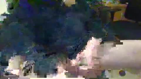 Snapshot of topcat127 chatting on 5, 3, 2025 Topcat127 online show from 5, 3, 2025