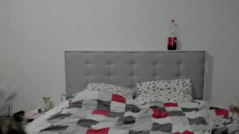 Snapshot of toriayun0 chatting on 3, 1, 2025 your personal gothic girl check it    online show from 3, 1, 2025