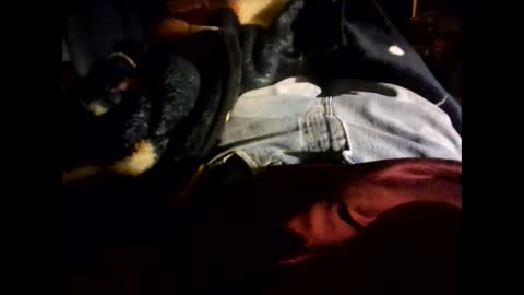 totonio666 online show from 14, 3, 2026