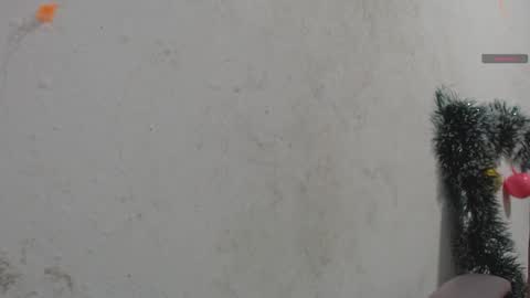 toxca69 online show from 7, 1, 2026