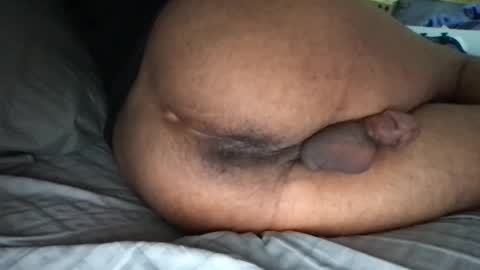 Toyboy online show from 25, 12, 2024