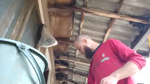 Tralalabala online show from 5, 3, 2026