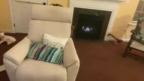 USA GURL online show from 11, 1, 2025