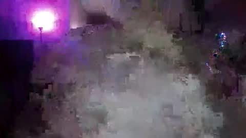 transgirl005 online show from 10, 11, 2025