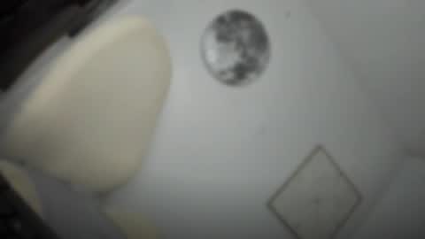 ALMIGHTY GODDESS VALENTINA online show from 26, 3, 2026