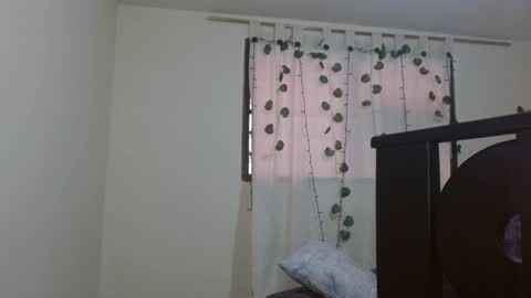 trebol_4 online show from 16, 3, 2026