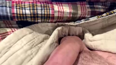 tree553 online show from 28, 12, 2024