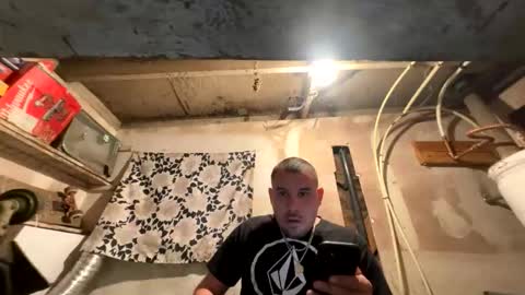 trees559 online show from 11, 3, 2026