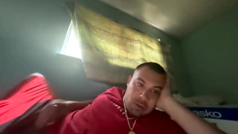 trees559 online show from 19, 4, 2026