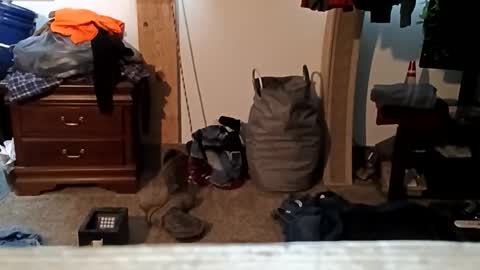 trickywalker8 online show from 21, 11, 2025