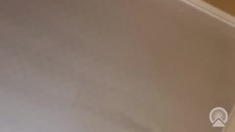 Antique-Shirt2516 online show from 13, 11, 2025