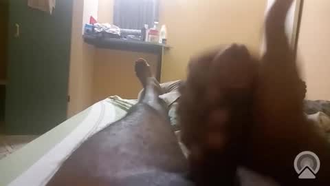 Antique-Shirt2516 online show from 22, 3, 2026