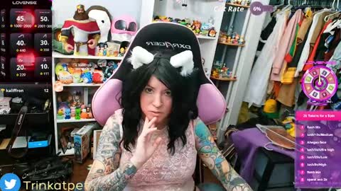 Snapshot of trinitykatze chatting on 8, 9, 2025 Trin Kat pet online show from 8, 9, 2025