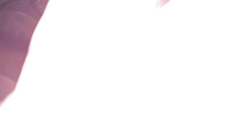 truelove1001 online show from 4, 3, 2026