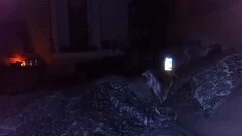 Amber White online show from 29, 10, 2025