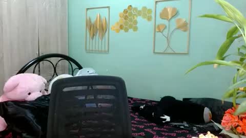 SHENA  online show from 3, 11, 2025