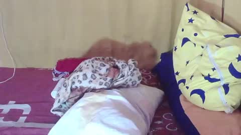 carmella online show from 11, 10, 2025