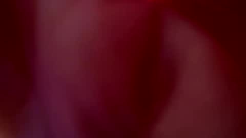 JULIETA  online show from 20, 10, 2025