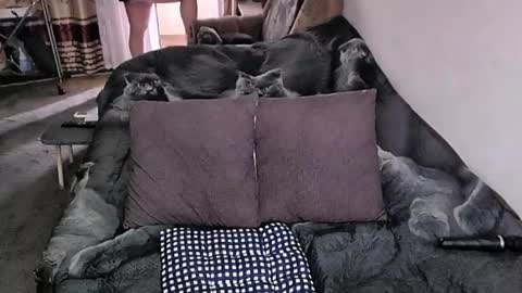 Lana online show from 20, 11, 2025