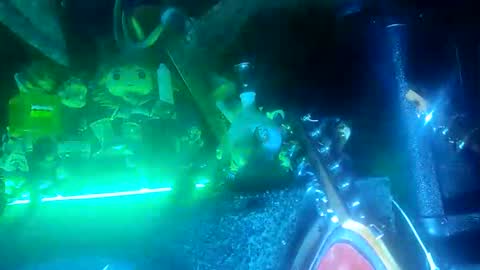 twe4kseeker online show from 20, 10, 2025