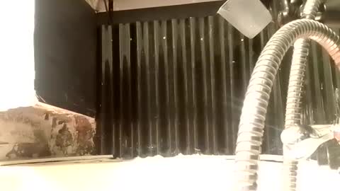 Tweaking Masturbation Addict online show from 9, 1, 2025