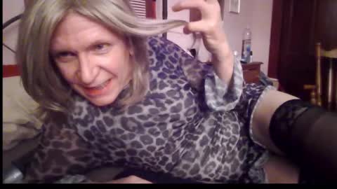 Kitten online show from 21, 12, 2024