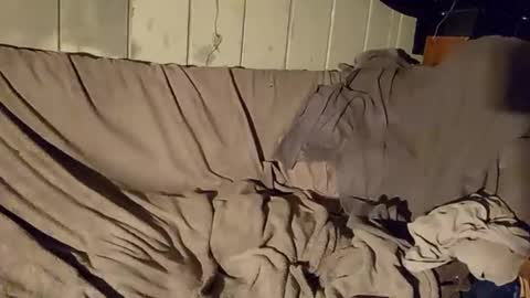 Snapshot of twistedblizzy chatting on 22, 1, 2025 TwistedBlizzy online show from 22, 1, 2025