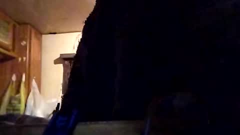 Snapshot of twiztidleeanna69 chatting on 1, 2, 2025 Tintilizing Excitement online show from 1, 2, 2025