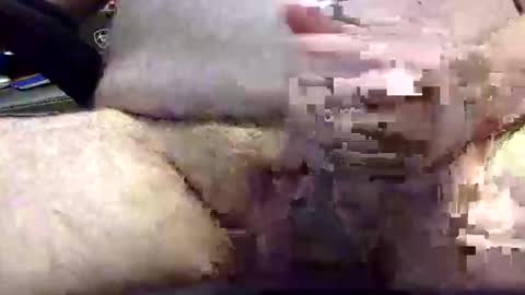 txranger6519 online show from 22, 4, 2026